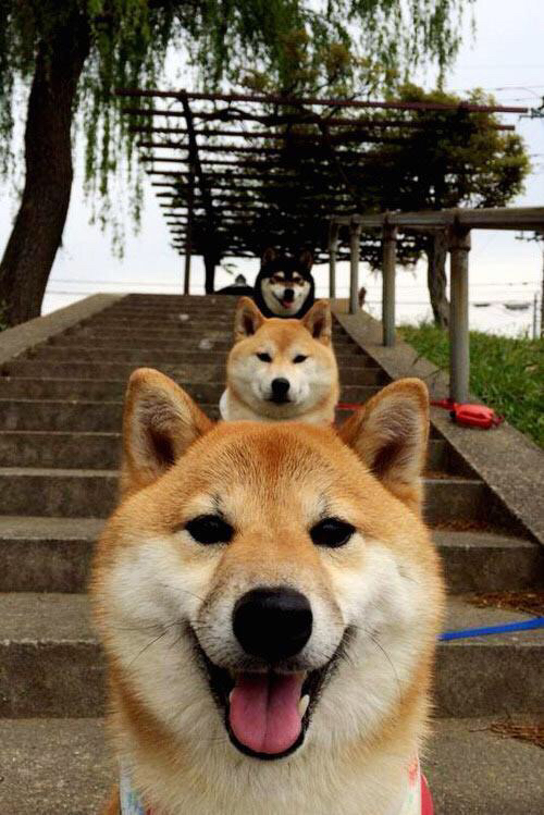 fb体育中国-VR全景观赛：沉浸式全景体验引领体验革命，vr全景课程