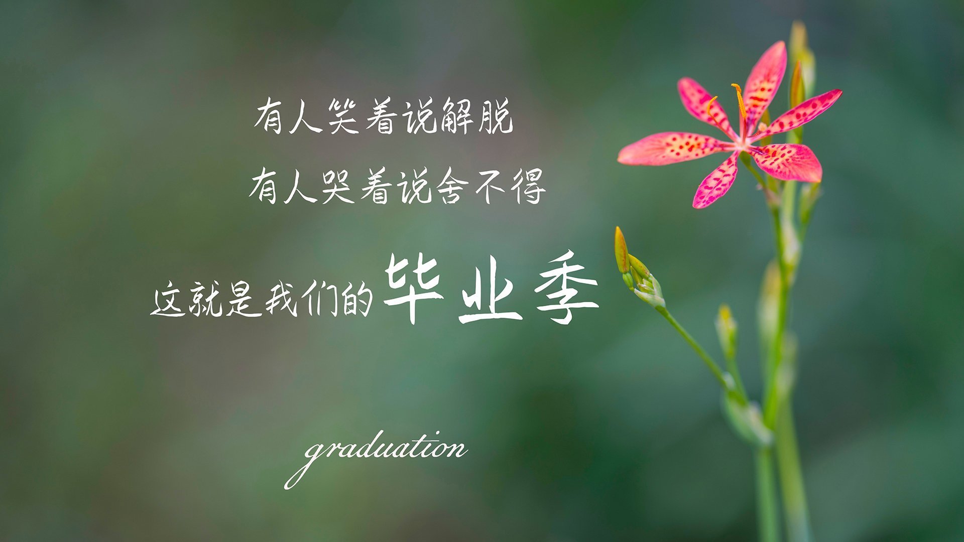 【悬空球新战术】野手运用新规则迎战变化中的比赛格局！，悬空钓悬空钓法