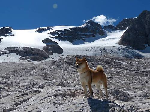 FB体育登录入口-帕尔梅拉斯中场达尼洛在巴甲联赛中表现稳定，备受认可，帕尔梅vs达伽马