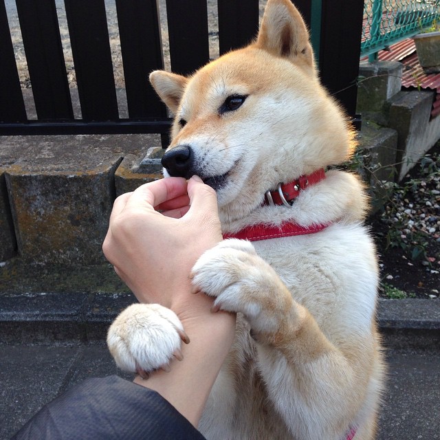 FB体育平台-青少年“梦想助跑”公益工程在全国多地持续，助推青训全面发展