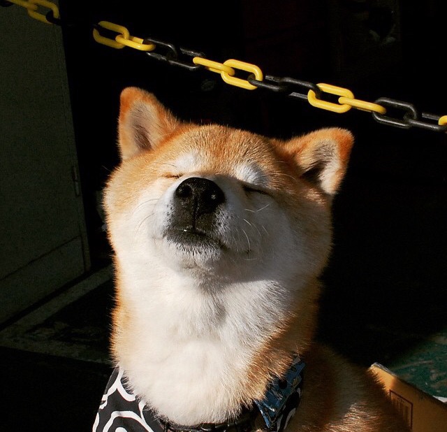 FB体育下载-曼联主场迎战布莱顿，双方实力对比悬念重重，曼联对布莱顿集锦