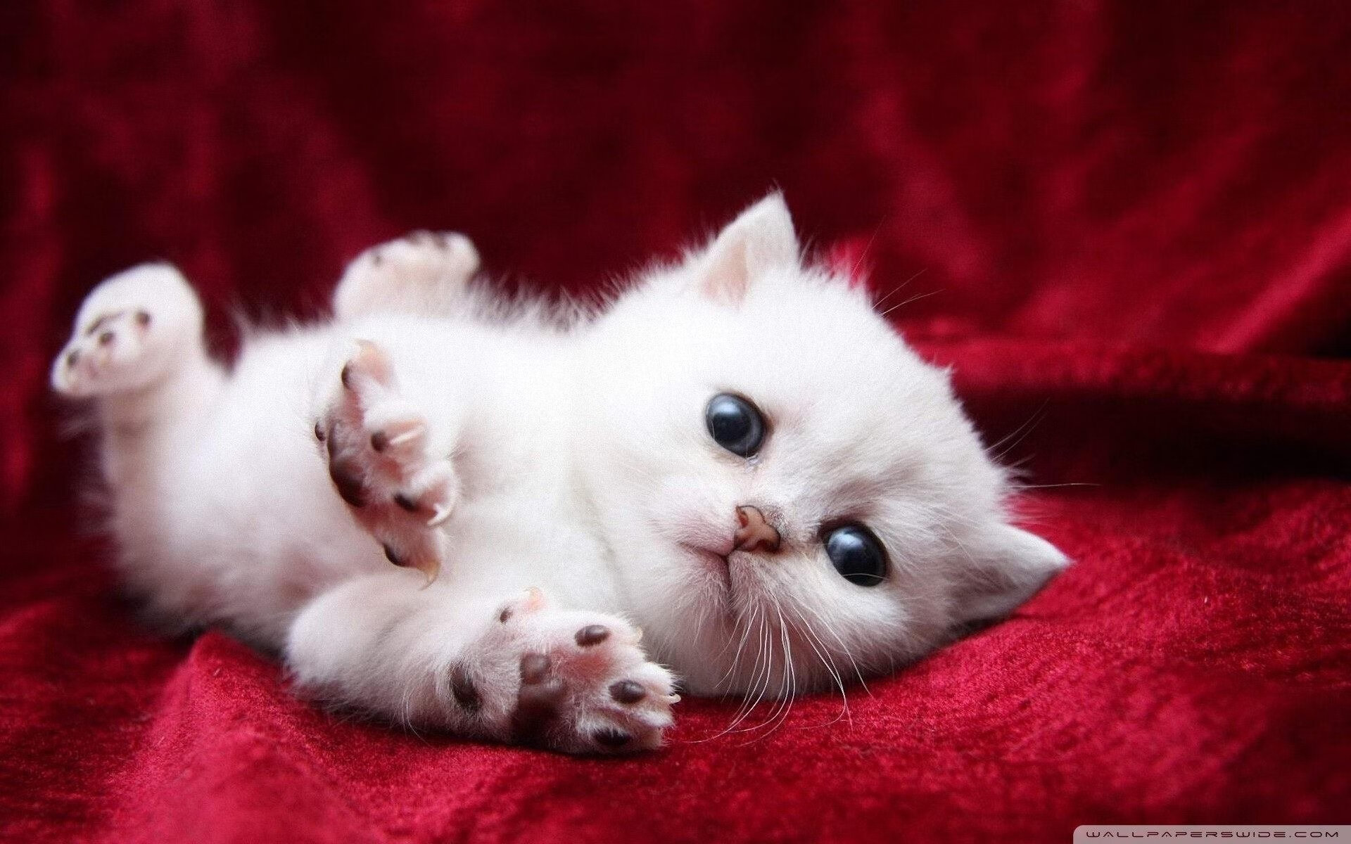 FB体育官方-德甲球队通过数据建模优化球员冲刺频次分配的研究，德甲冲刺速度最快球员