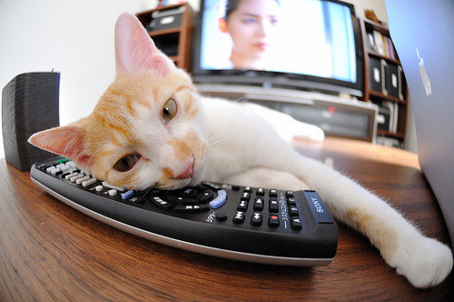 冬季极限运动公开课走进中学课堂，极限运动欣赏课有感